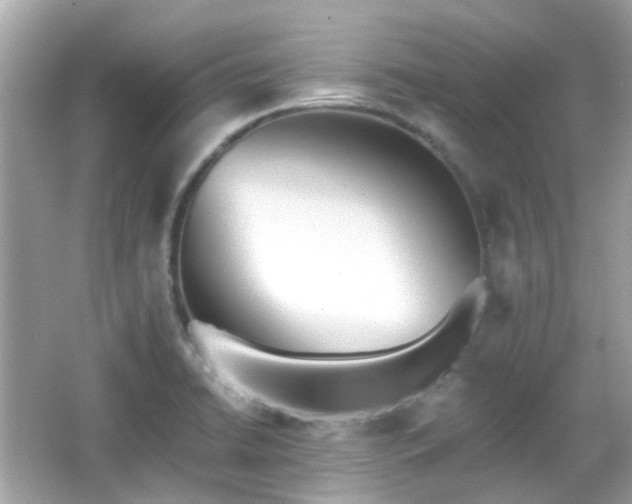 X0000065951422200603101344