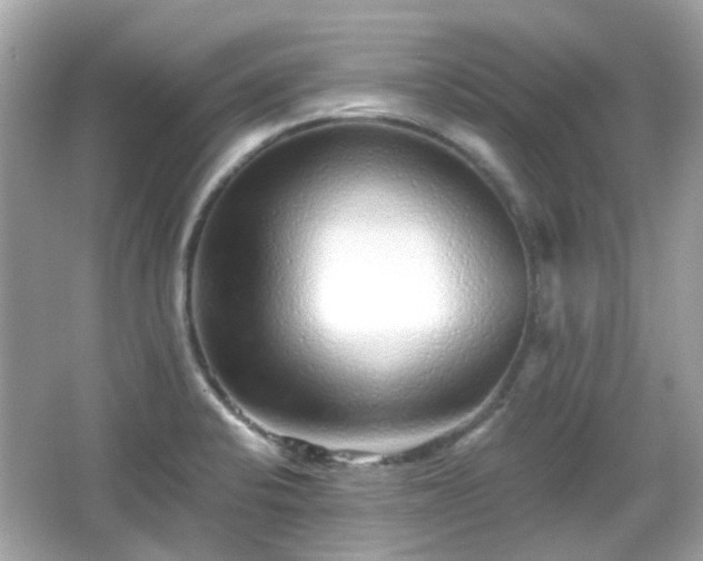 X0000065951424200603101344