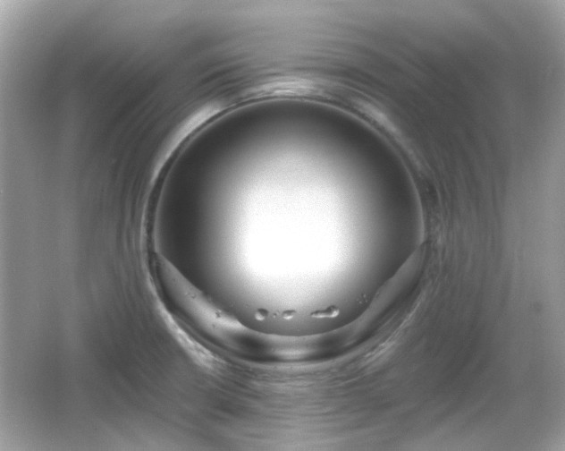 X0000065951426200603101344