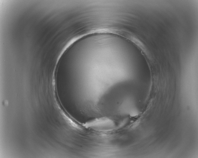 X0000065951428200603101344