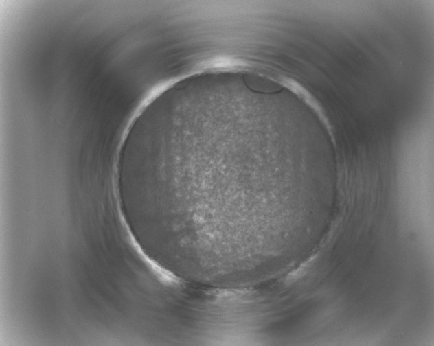 X0000065951429200603101344