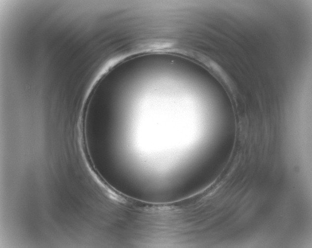 X0000065951432200603101345