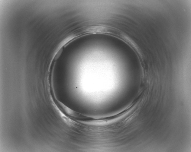 X0000065951434200603101345