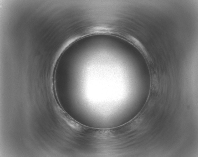 X0000065951435200603101345