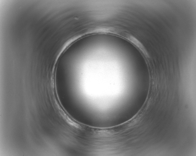 X0000065951436200603101345