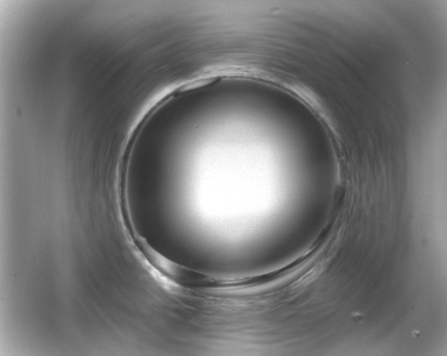 X0000065951438200603101345