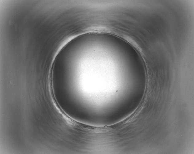 X0000065951440200603101345