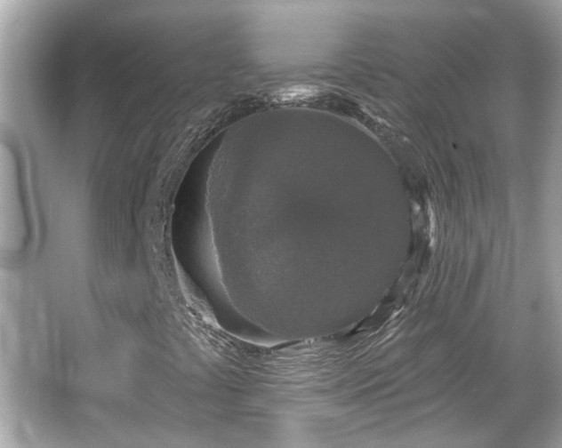 X0000065951441200603101344