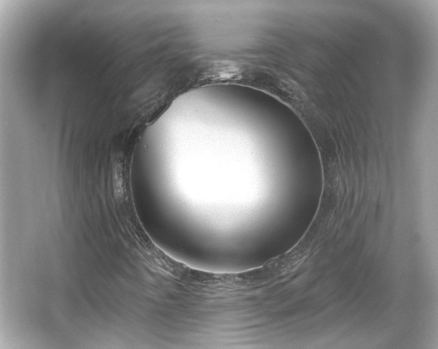X0000065951442200603101344