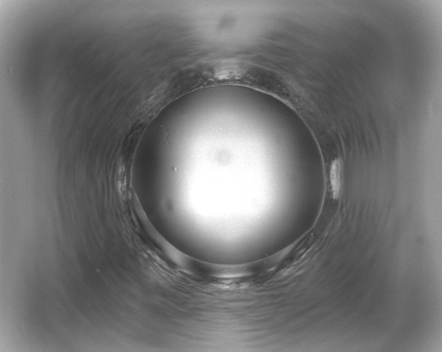 X0000065951443200603101344