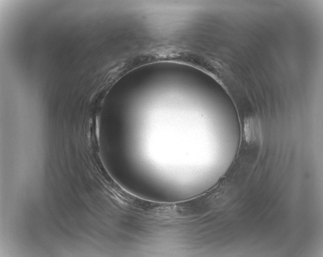 X0000065951444200603101344