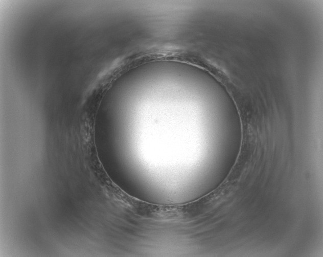 X0000065951447200603101344