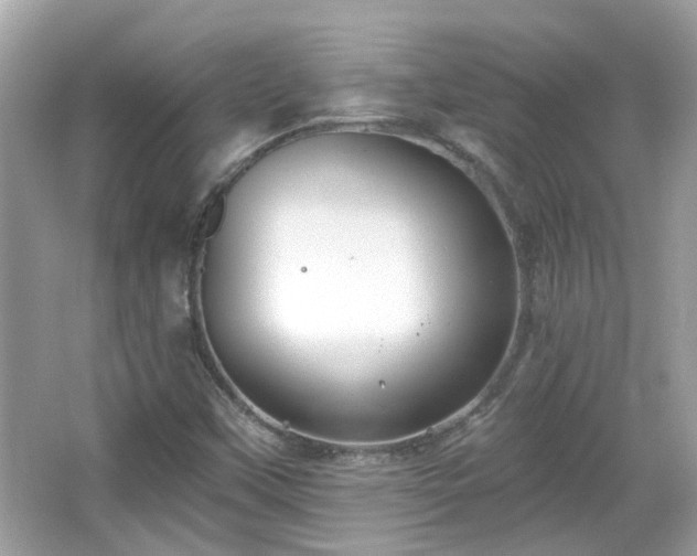 X0000065951451200603101344