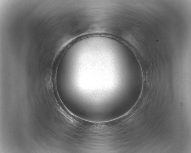 X0000065951452200603101344