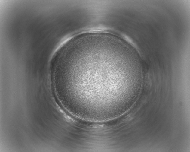 X0000065951456200603101344