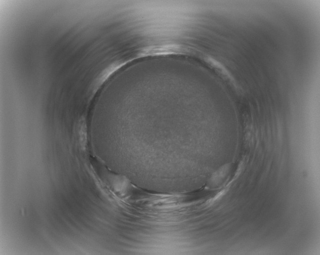 X0000065951457200603101344