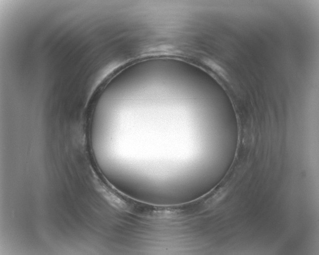 X0000065951458200603101344
