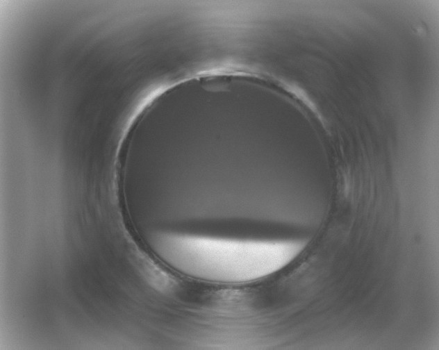 X0000065951463200603101343