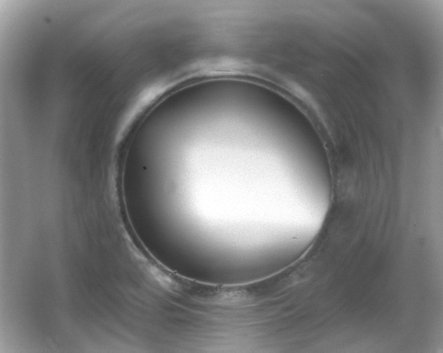 X0000065951464200603101343