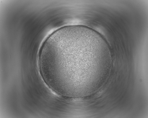 X0000065951472200603101343