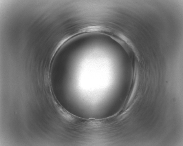 X0000065951473200603101343