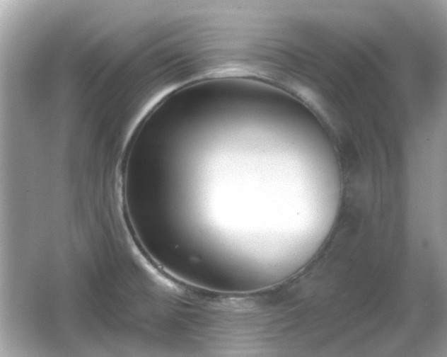 X0000065951476200603101343