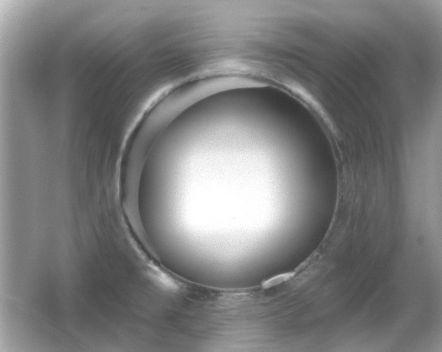 X0000065951477200603101343