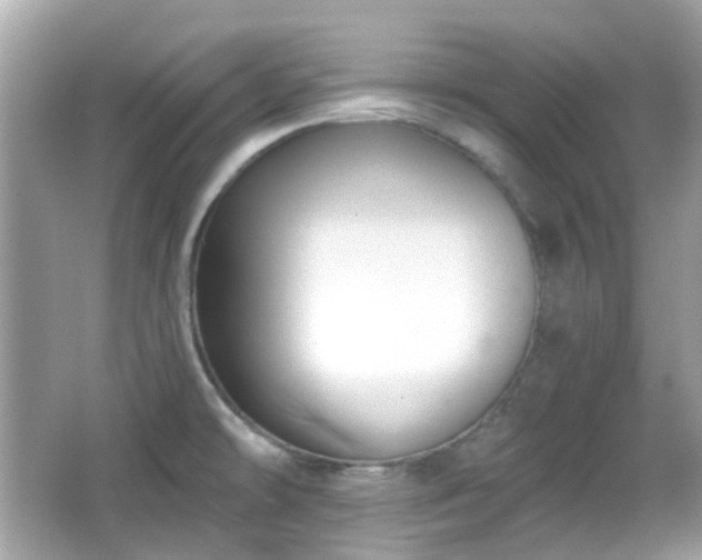 X0000065951478200603101343