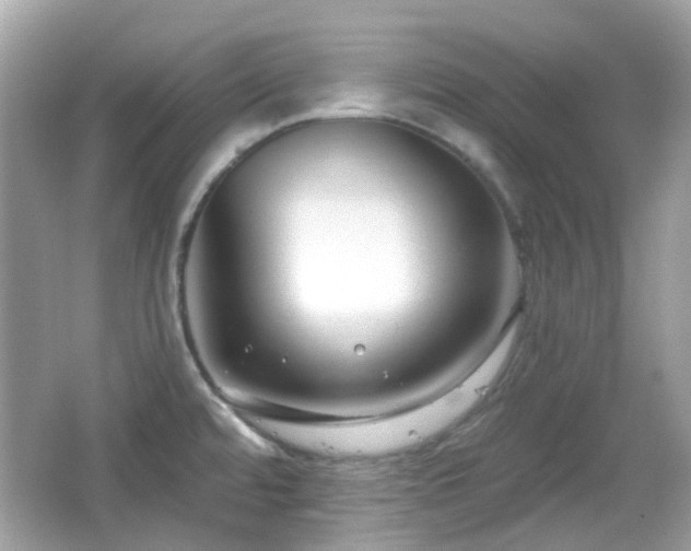 X0000065951480200603101343
