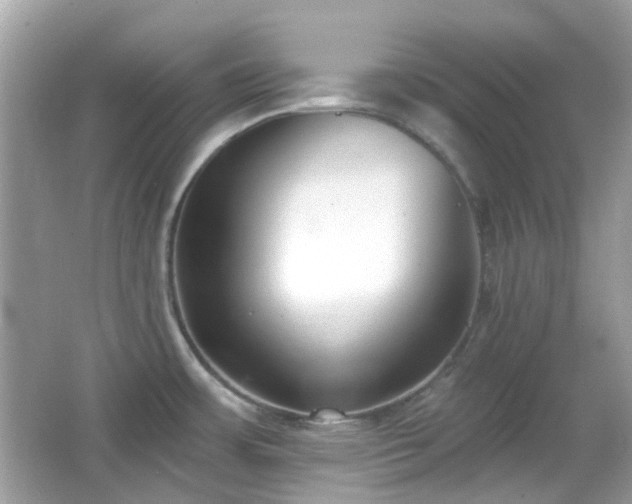X0000065951483200603101343
