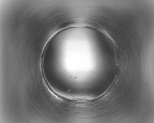 X0000065951484200603101343