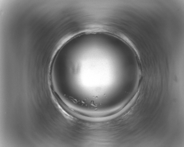X0000065951485200603101343
