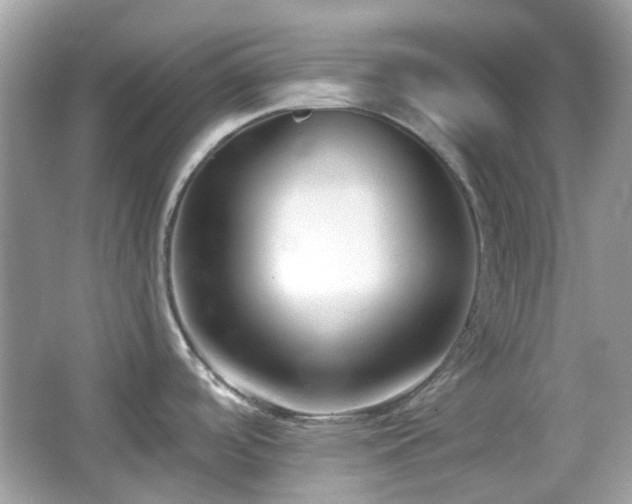 X0000065951488200603101343