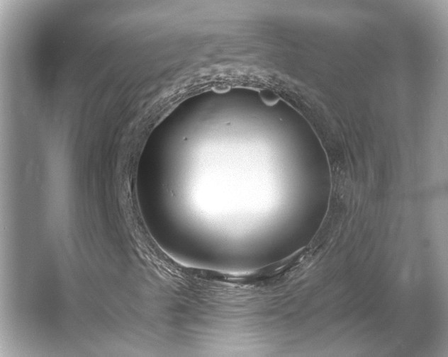 X0000065951489200603101342