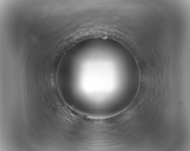 X0000065951490200603101342