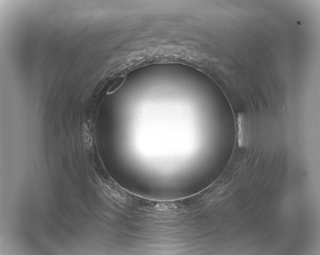 X0000065951491200603101342