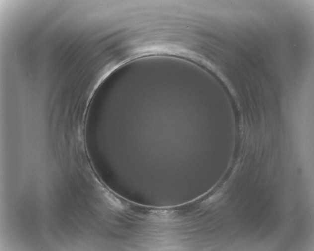 X0000065951529200603101343
