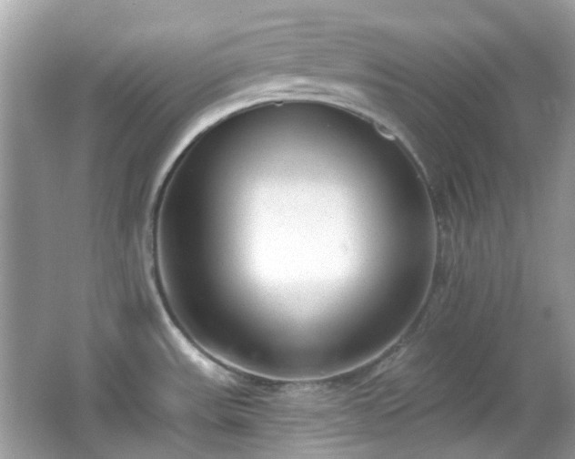 X0000065951531200603101343