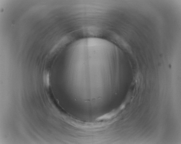 X0000065950027200603172011