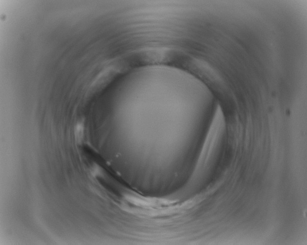 X0000065950035200603172010