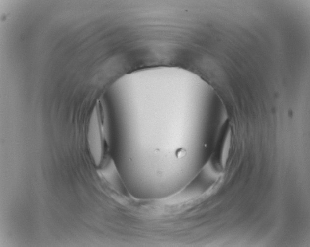 X0000065950045200603172010