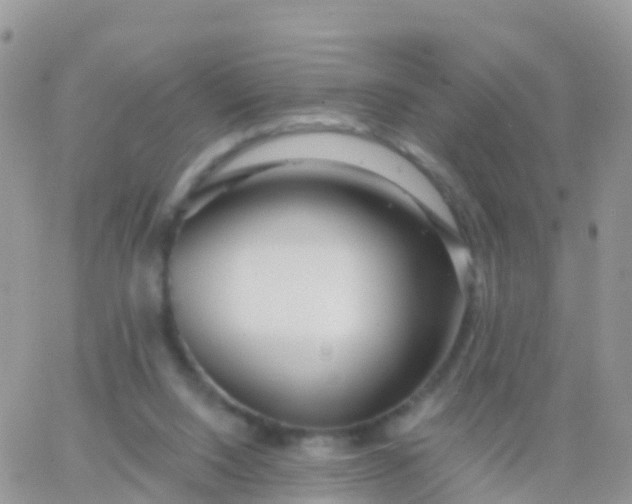X0000065950064200603172010
