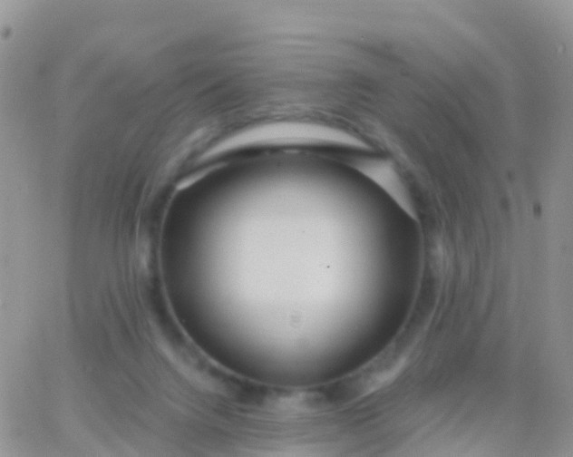 X0000065950072200603172010