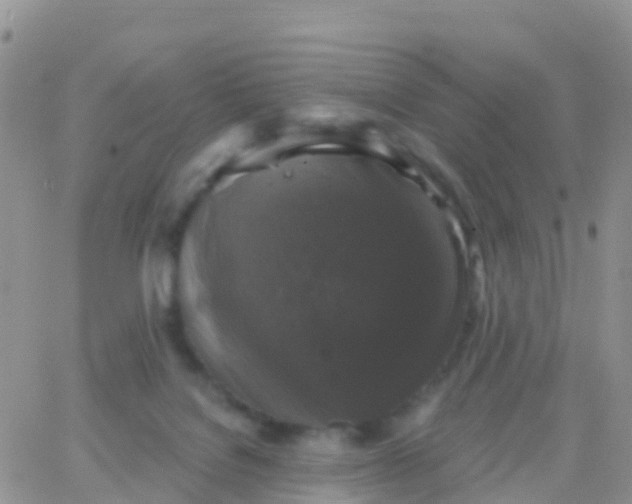 X0000065950076200603172010
