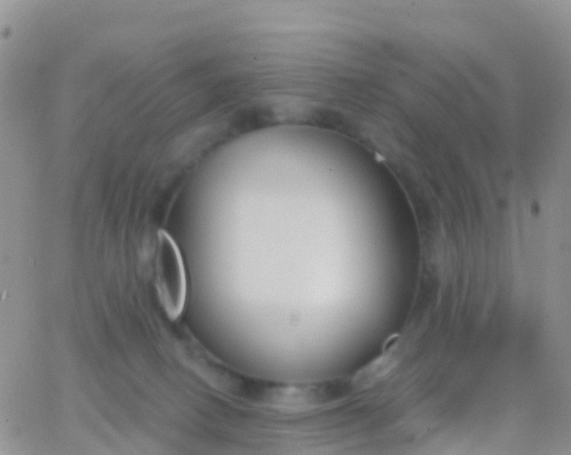 X0000065950082200603172010