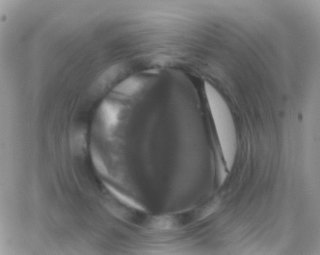 X0000065950127200603172009