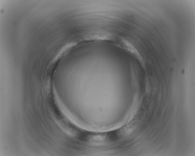 X0000065950163200603172008