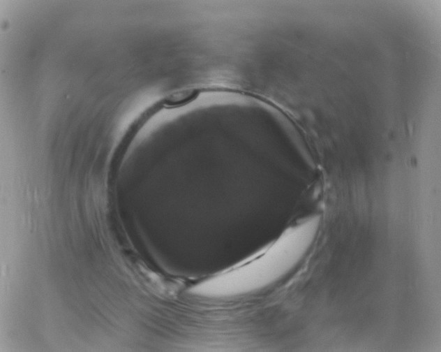 X0000065950200200603172008