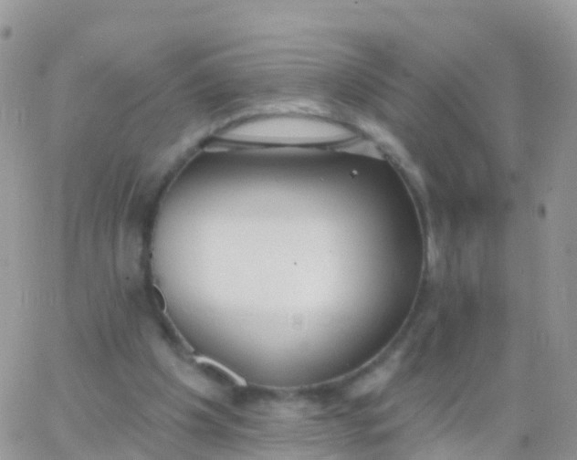 X0000065950201200603172008