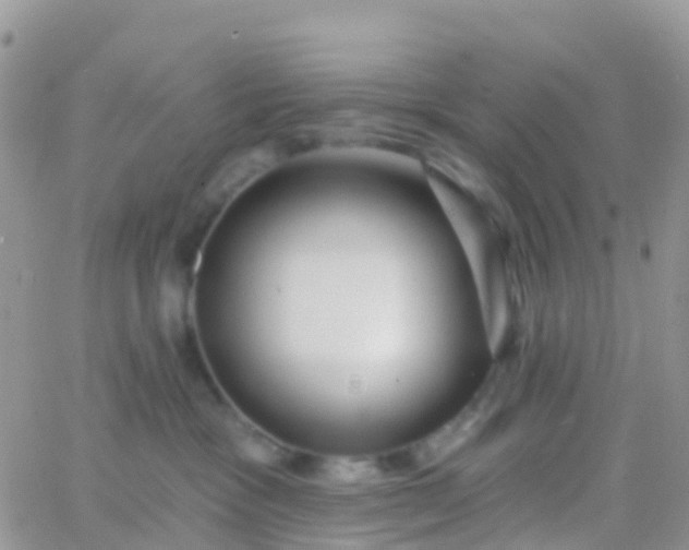 X0000065950333200603172006
